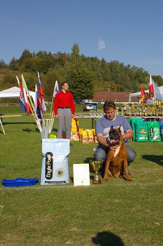 www.boxer-show.eu